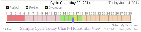 Cycle Today Chart - Timeline showing period, fertile days, follicular and luteal phases (Sample Horizontal View)