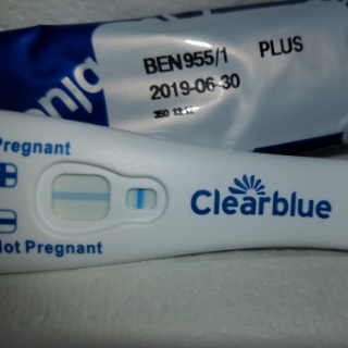 Clearblue Plus Pregnancy Test, 16 Days Post Ovulation