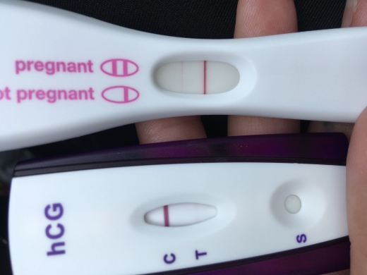 First Response Early Pregnancy Test, 10 Days Post Ovulation