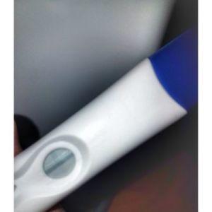 Clearblue Plus Pregnancy Test, Cycle Day 30