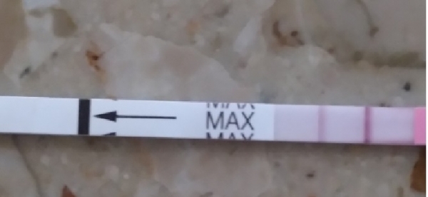 Generic Pregnancy Test, 16 Days Post Ovulation, FMU, Cycle Day 30
